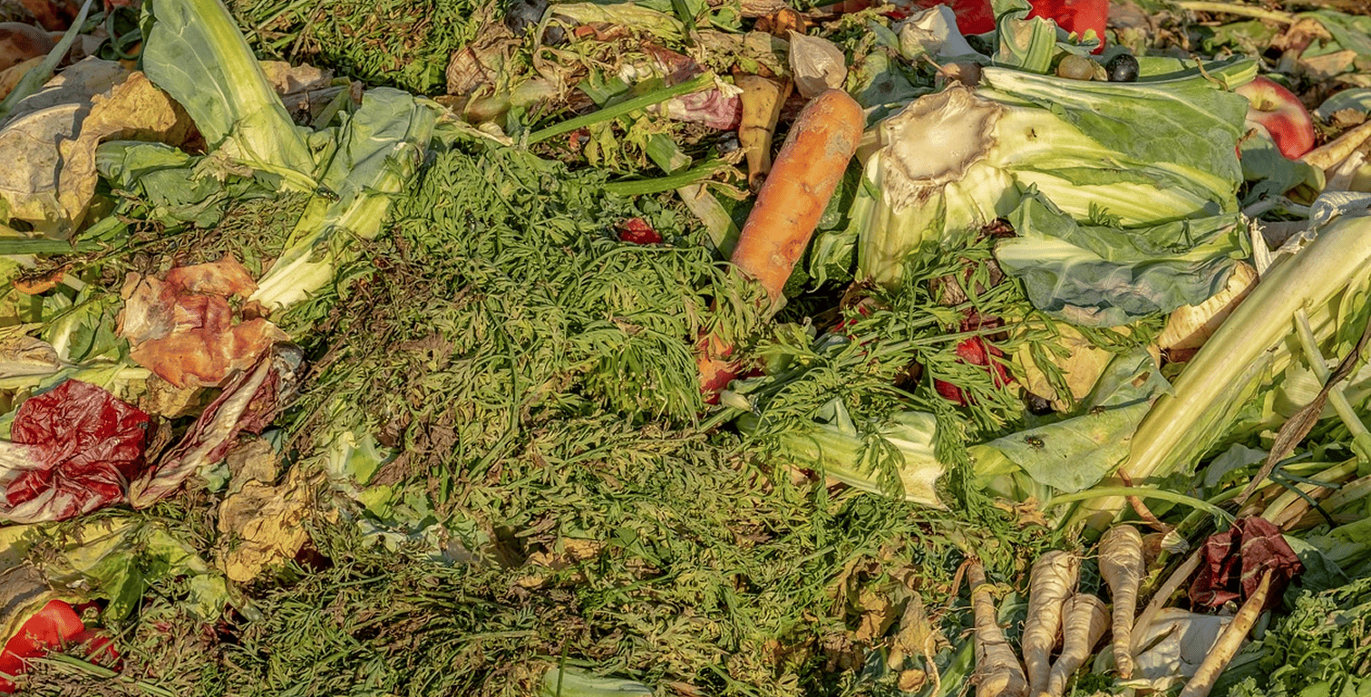 Vegetales desechados